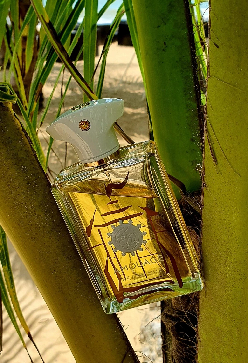 Amouage Beach Hut Man