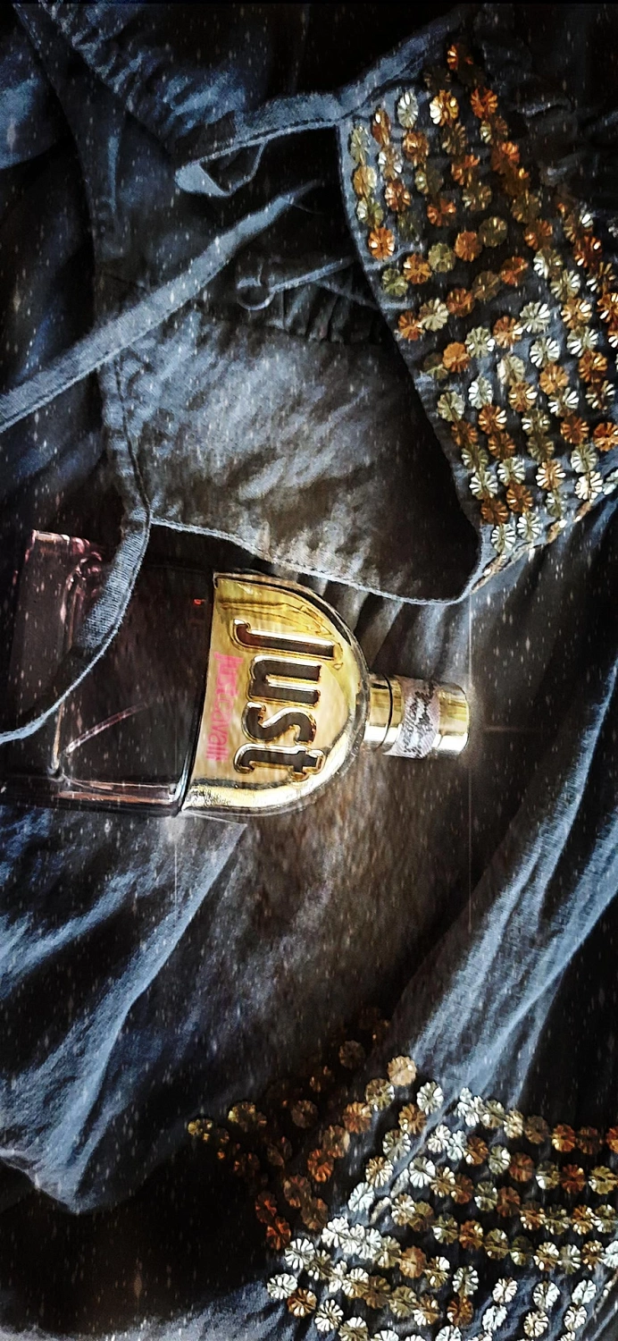 Roberto Cavalli Just Cavalli 2013