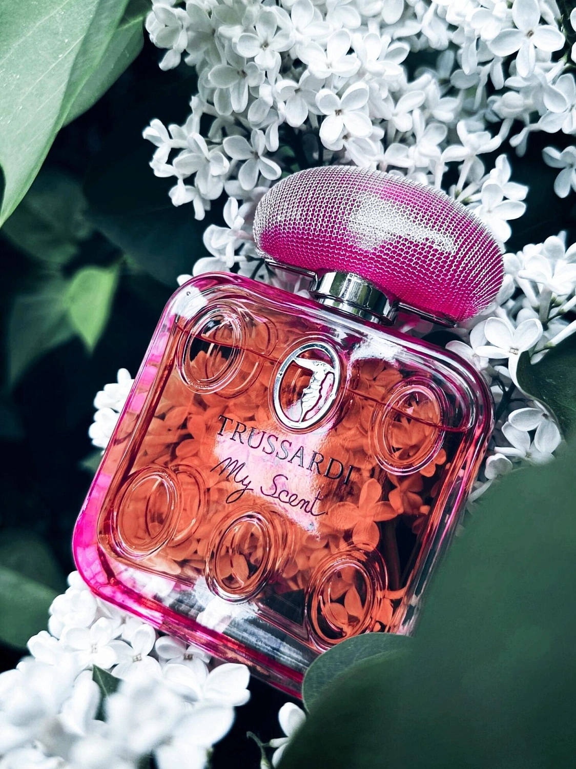 Trussardi My Scent