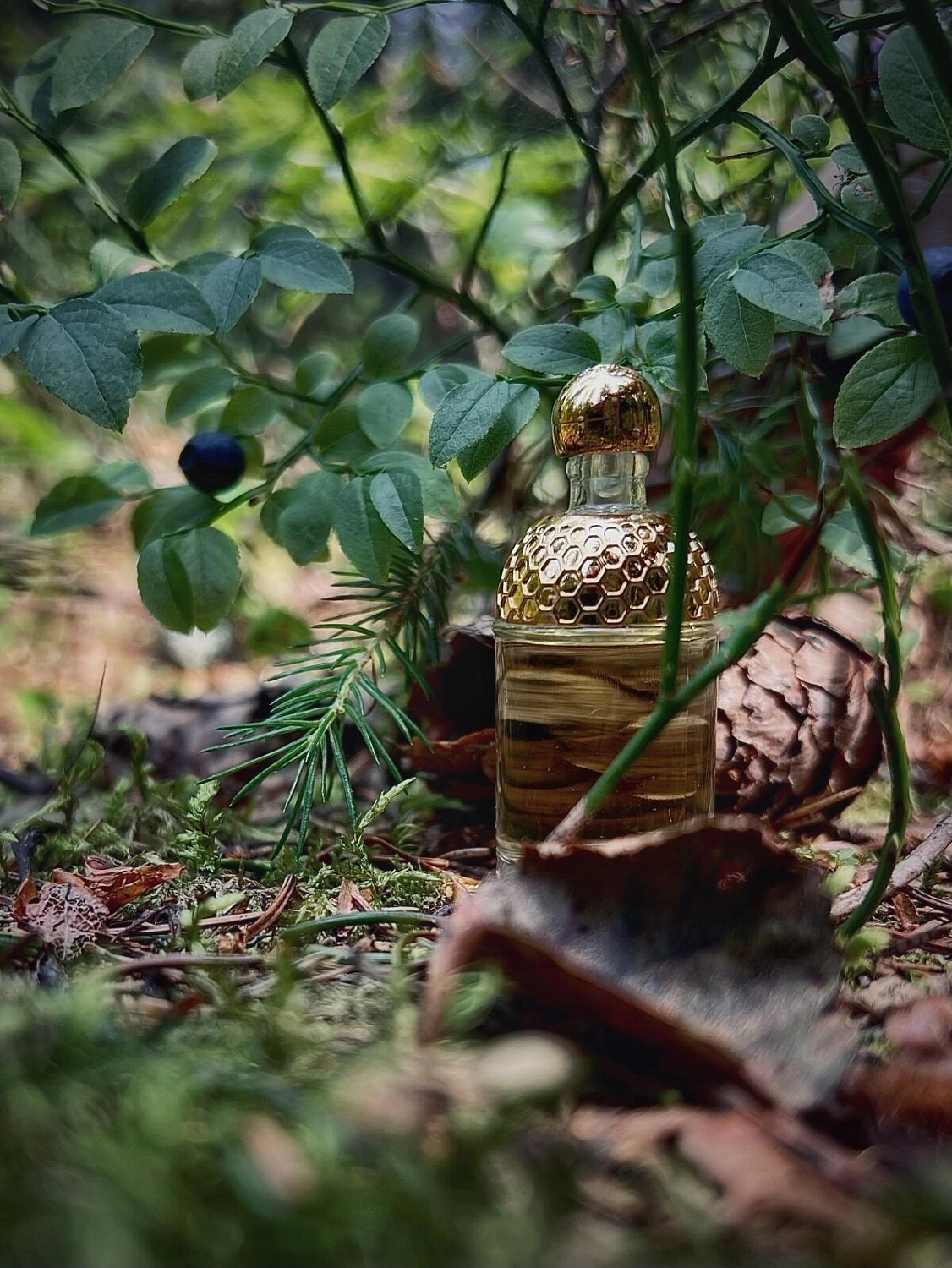 Guerlain Aqua Allegoria Gentiana