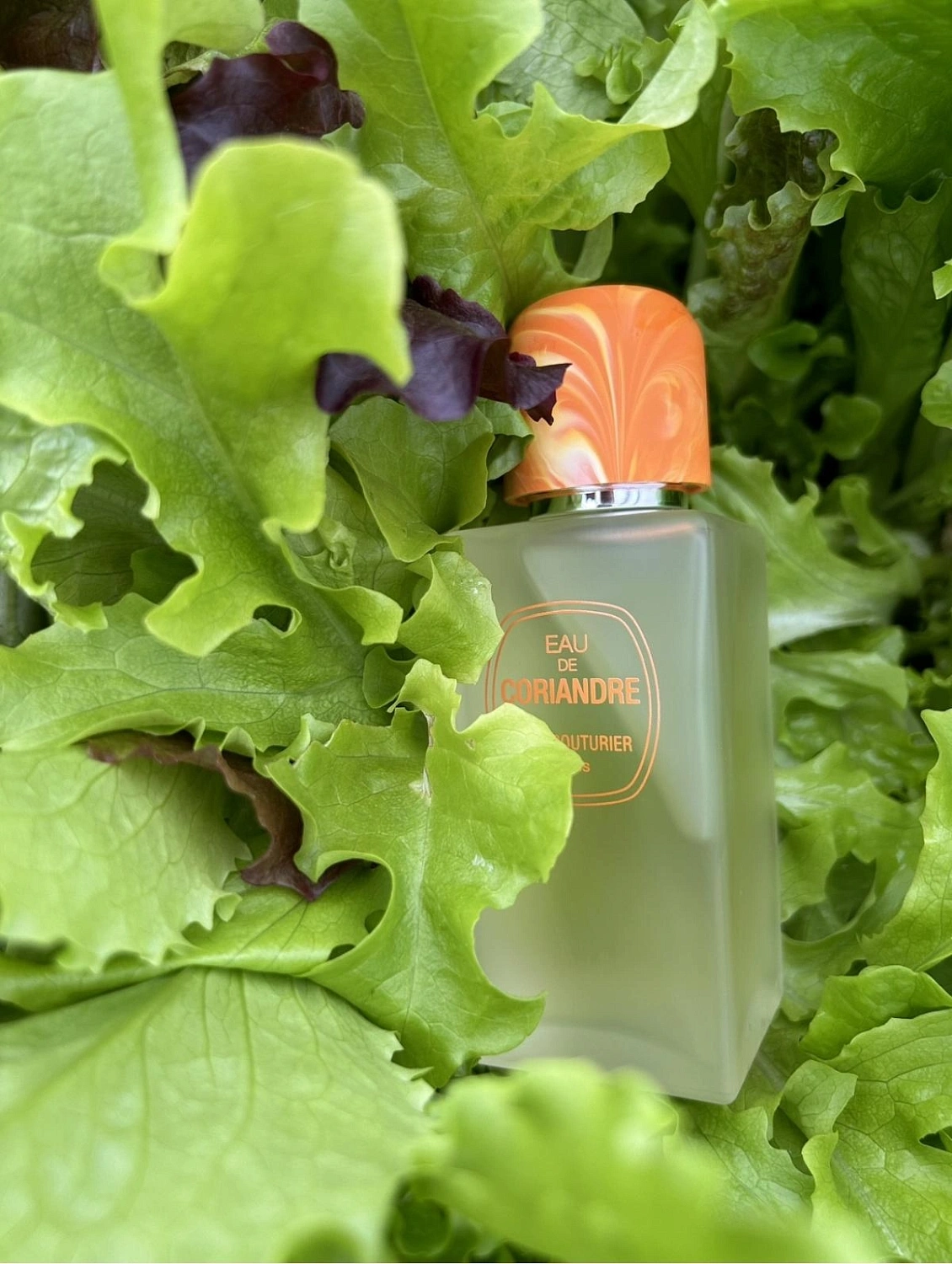 Jean Couturier Eau de Coriandre