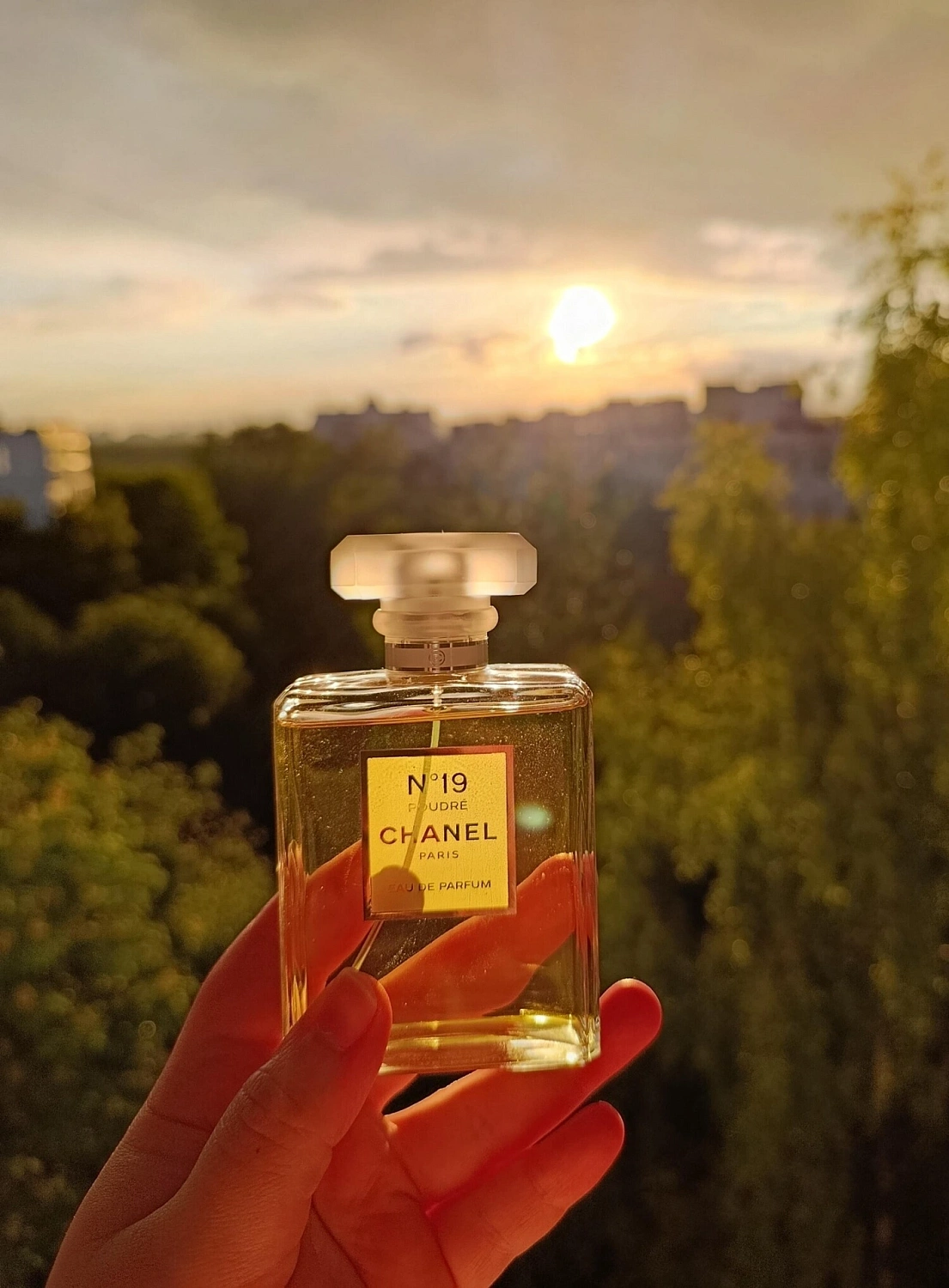 Chanel N°19 Poudre