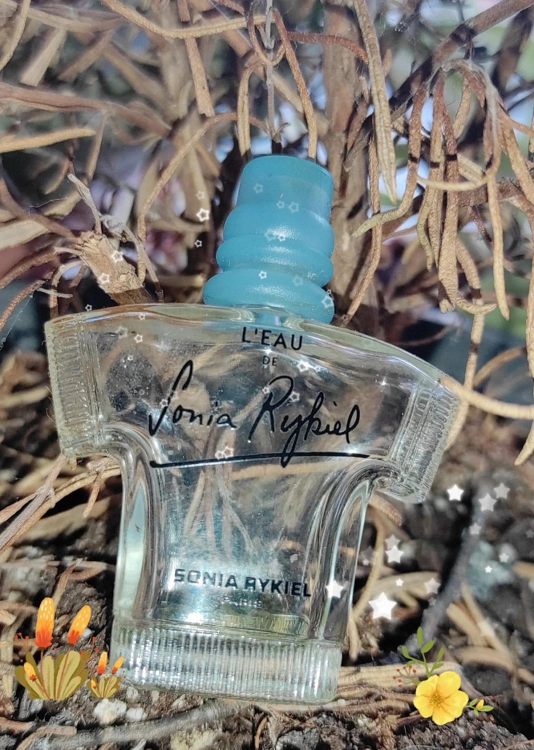 L'Eau de Sonia Rykiel