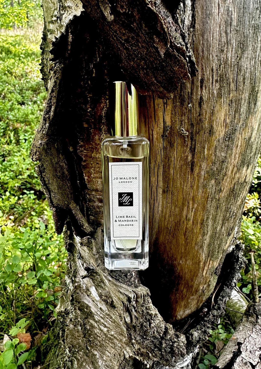 Jo Malone Lime Basil & Mandarin