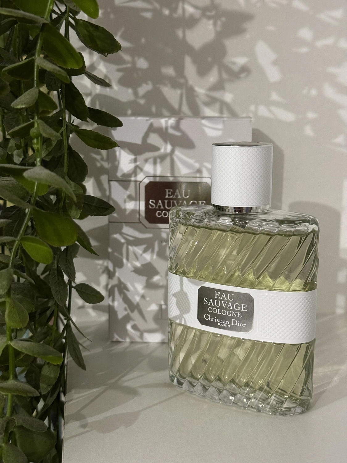 Christian Dior Eau Sauvage Cologne