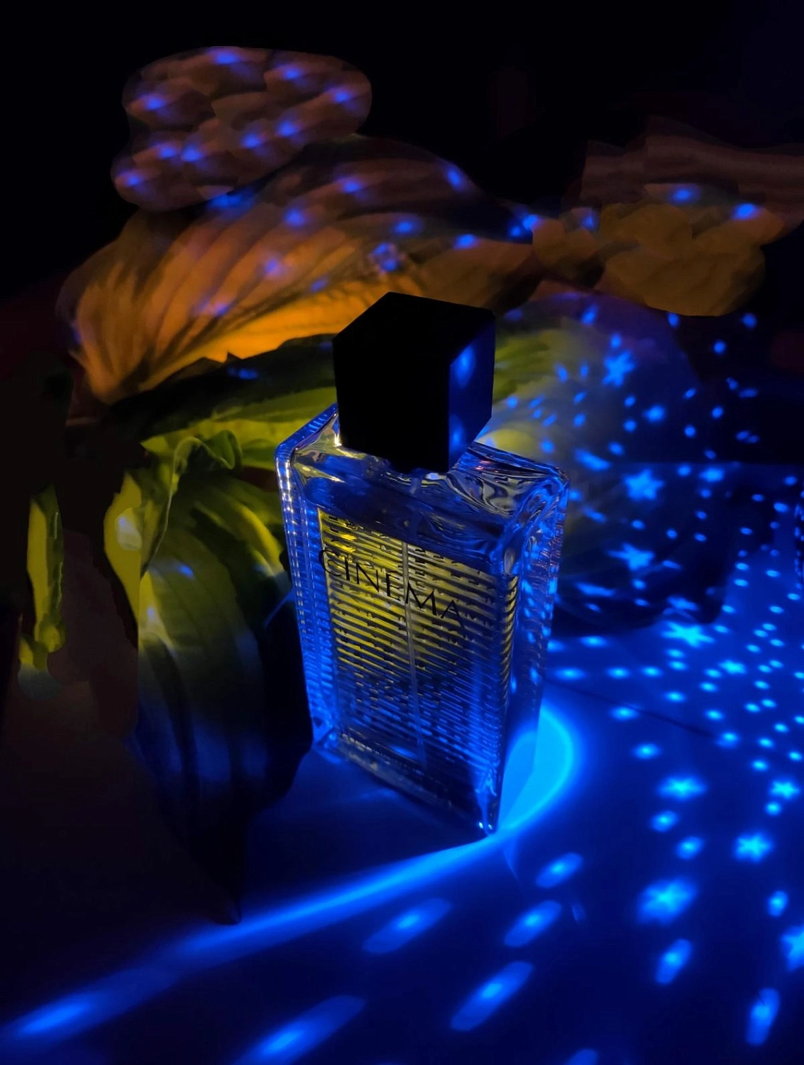 Yves Saint Laurent Cinema Love