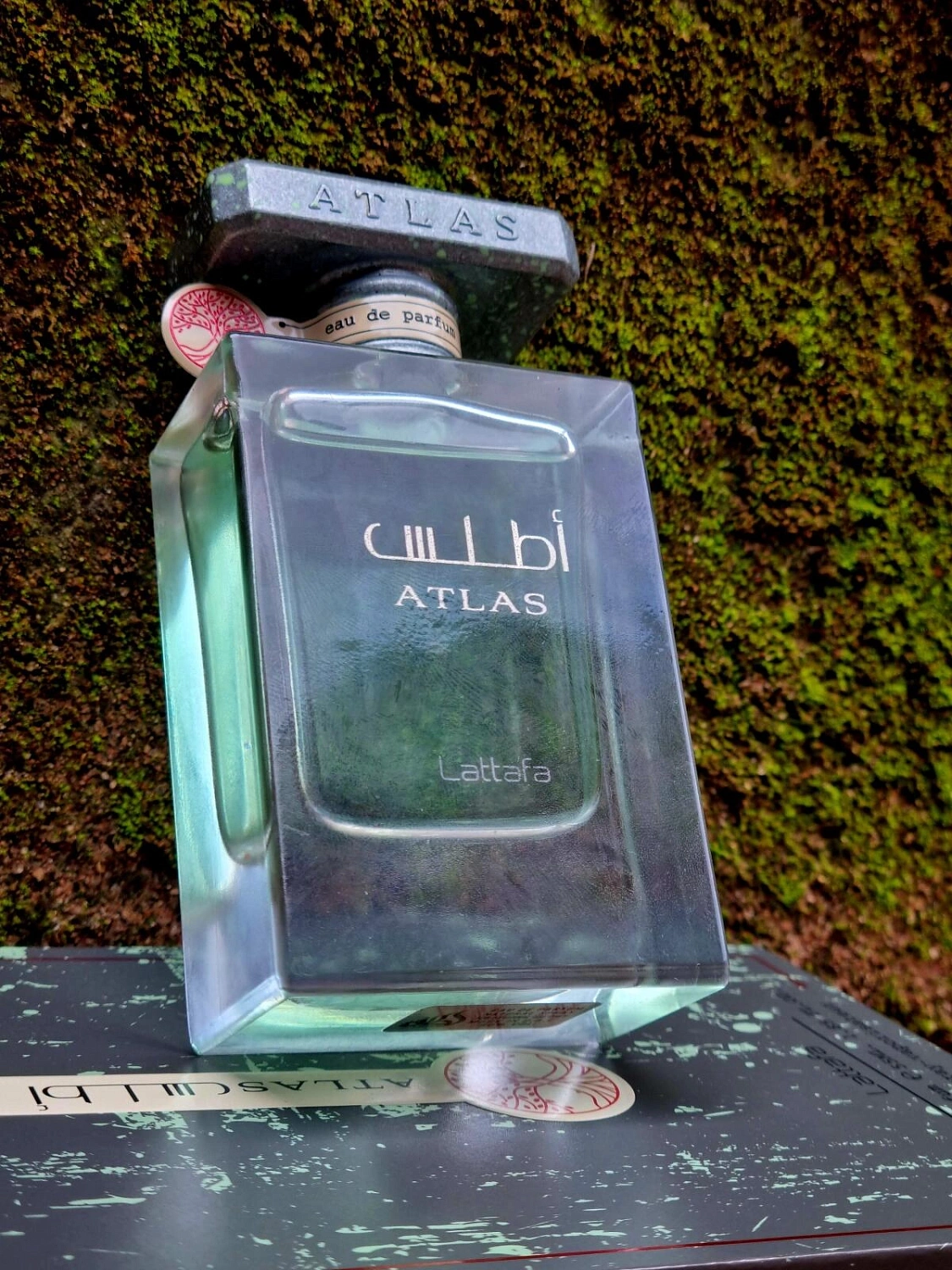 Lattafa Atlas