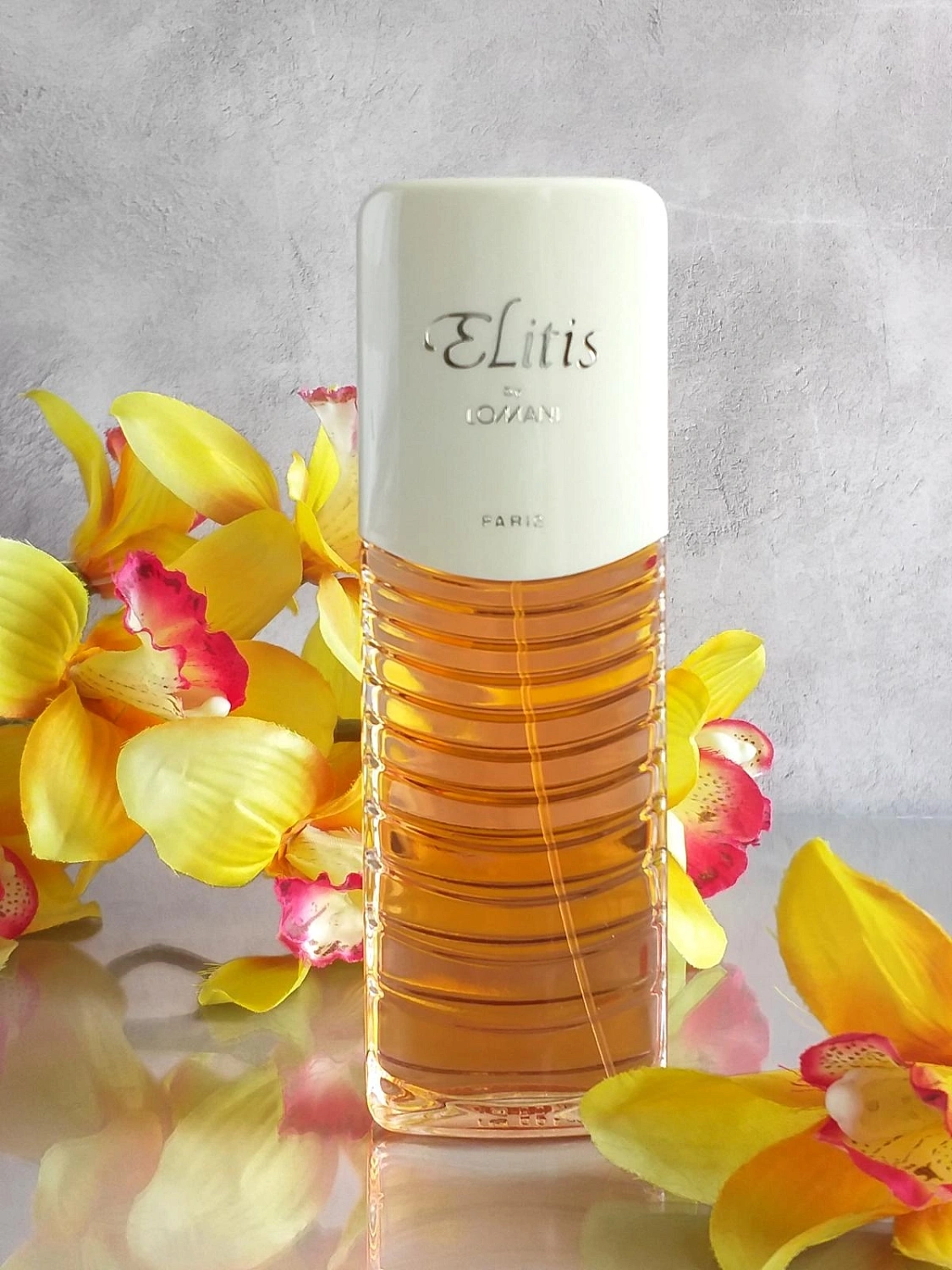 Lomani Elitis