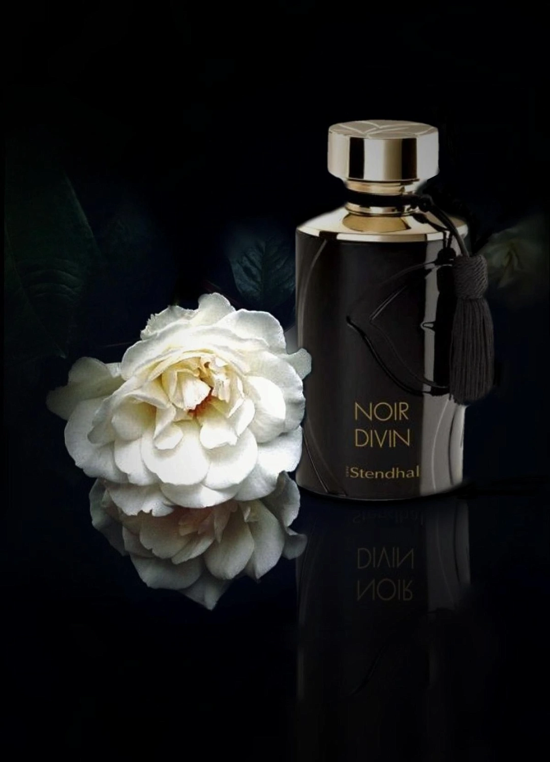 Stendhal Noir Divin