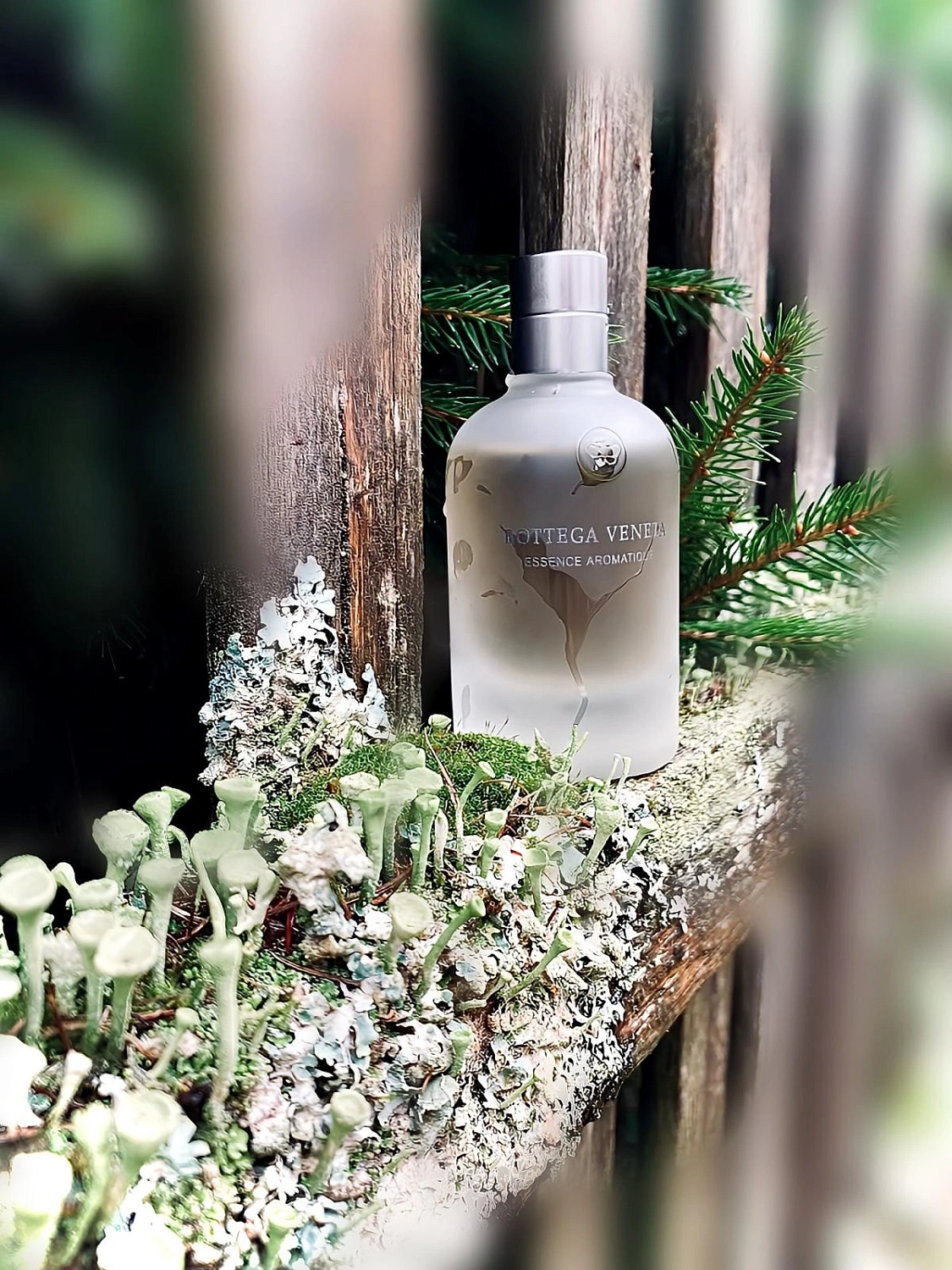 Bottega Veneta Essence Aromatique