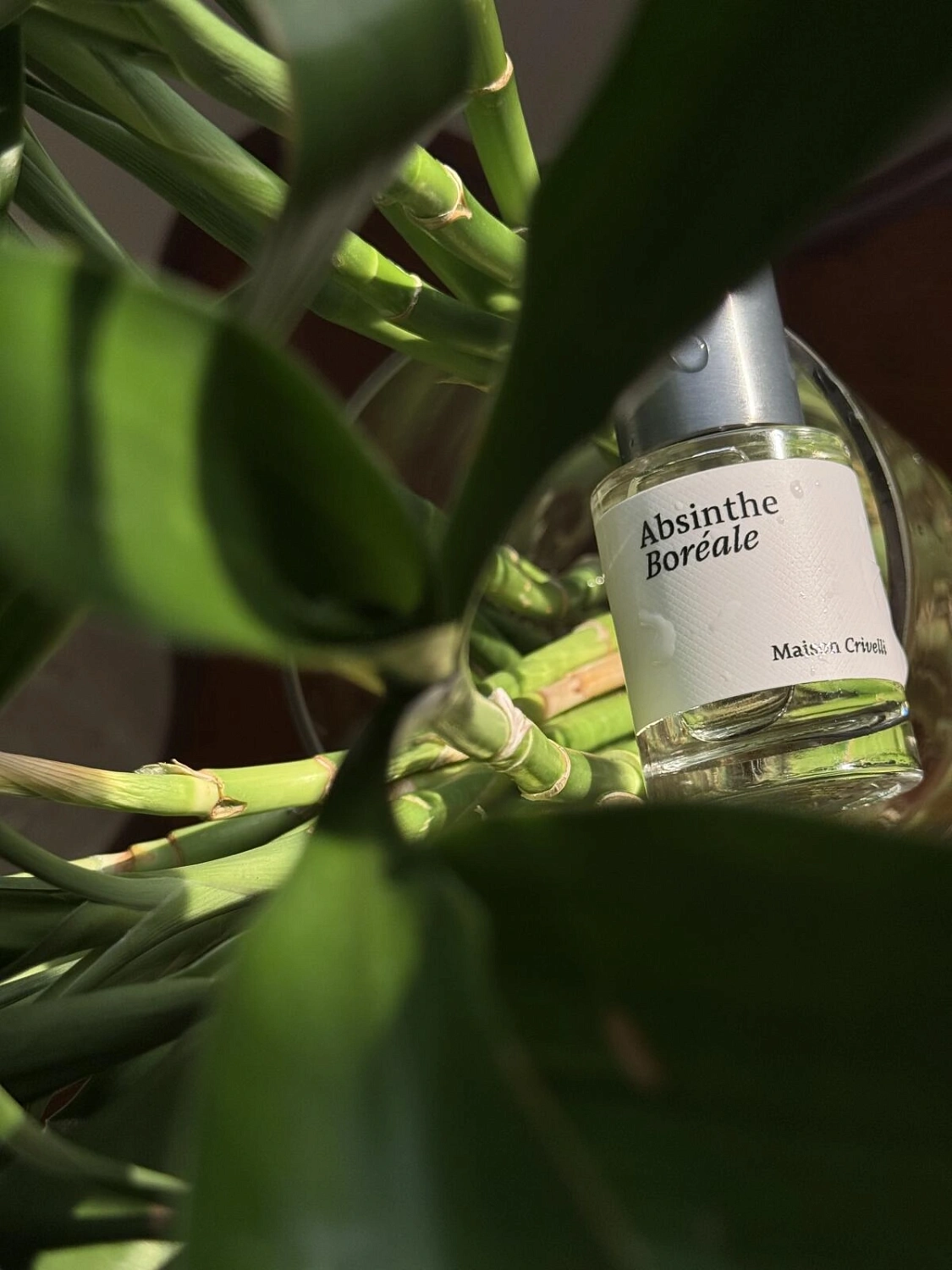 Maison Crivelli Absinthe Boreale