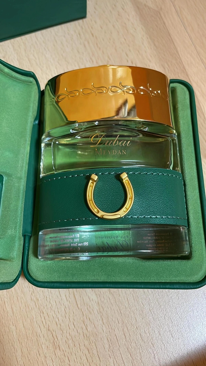 The Spirit of Dubai Meydan