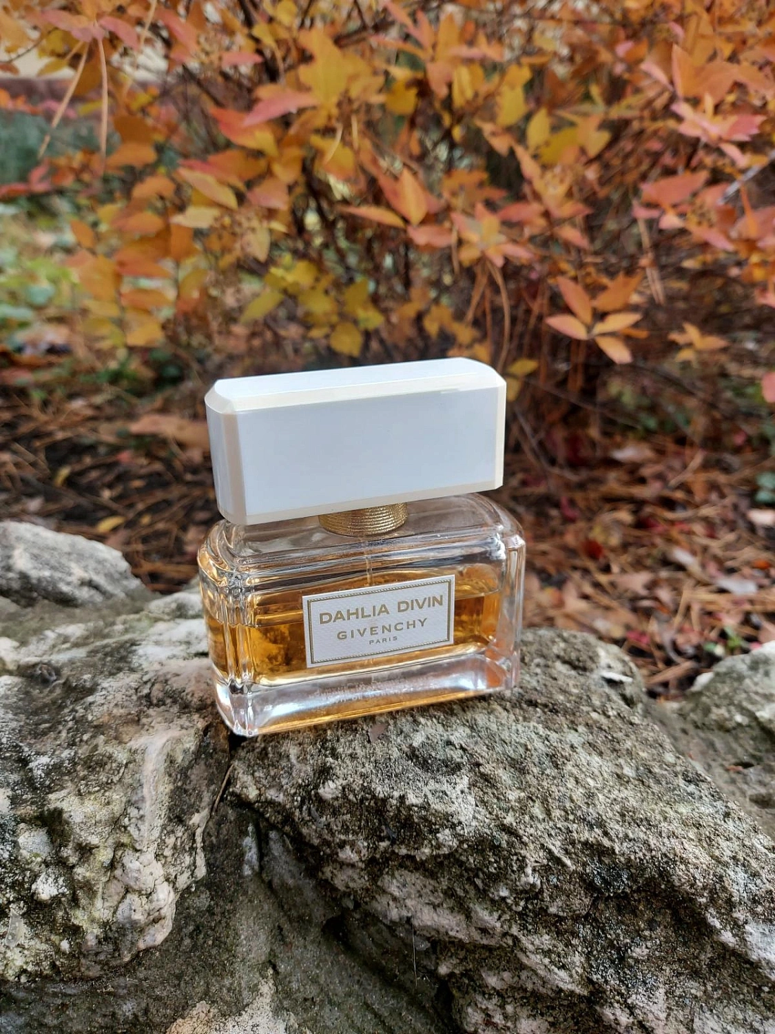 Givenchy Dahlia Divin