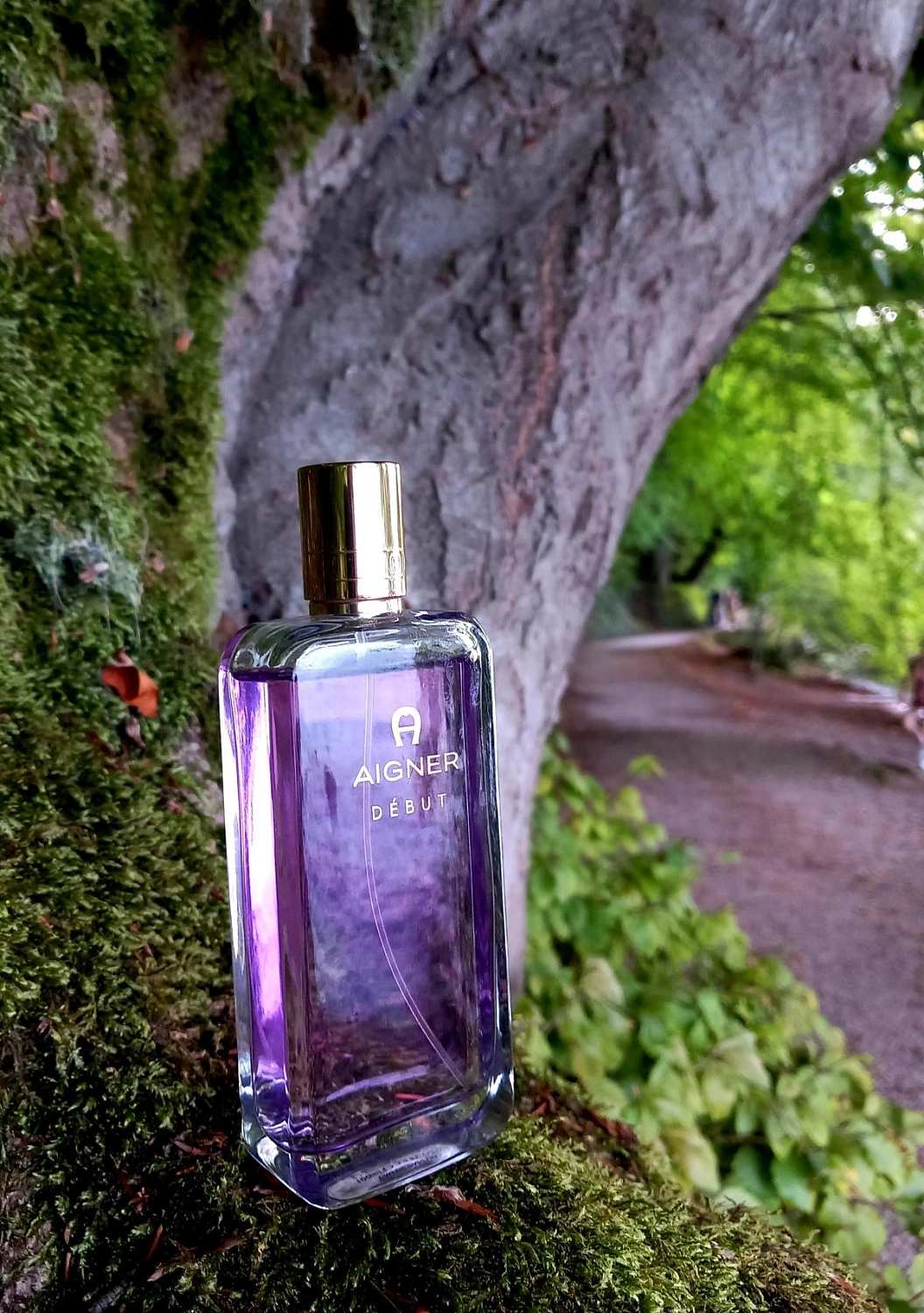 Aigner Debut