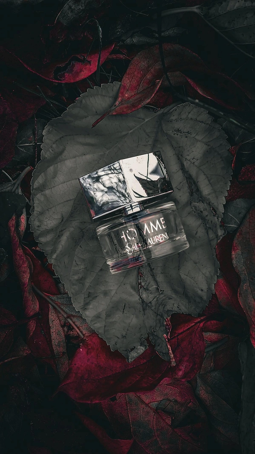Yves Saint Laurent L'Homme