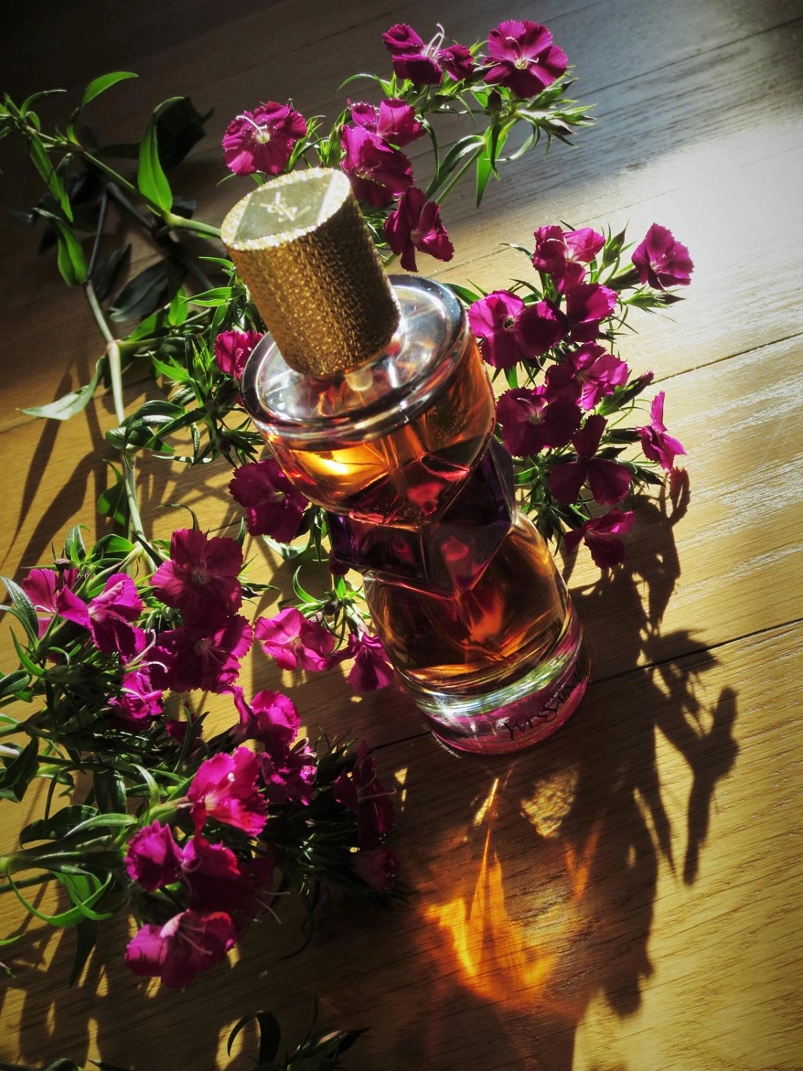 Yves Saint Laurent Manifesto