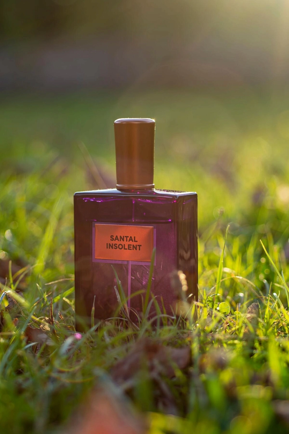 Molinard Santal Insolent