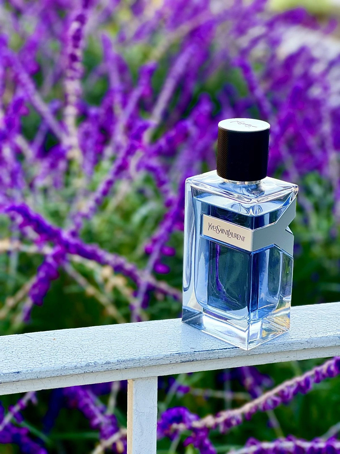 Yves Saint Laurent Y