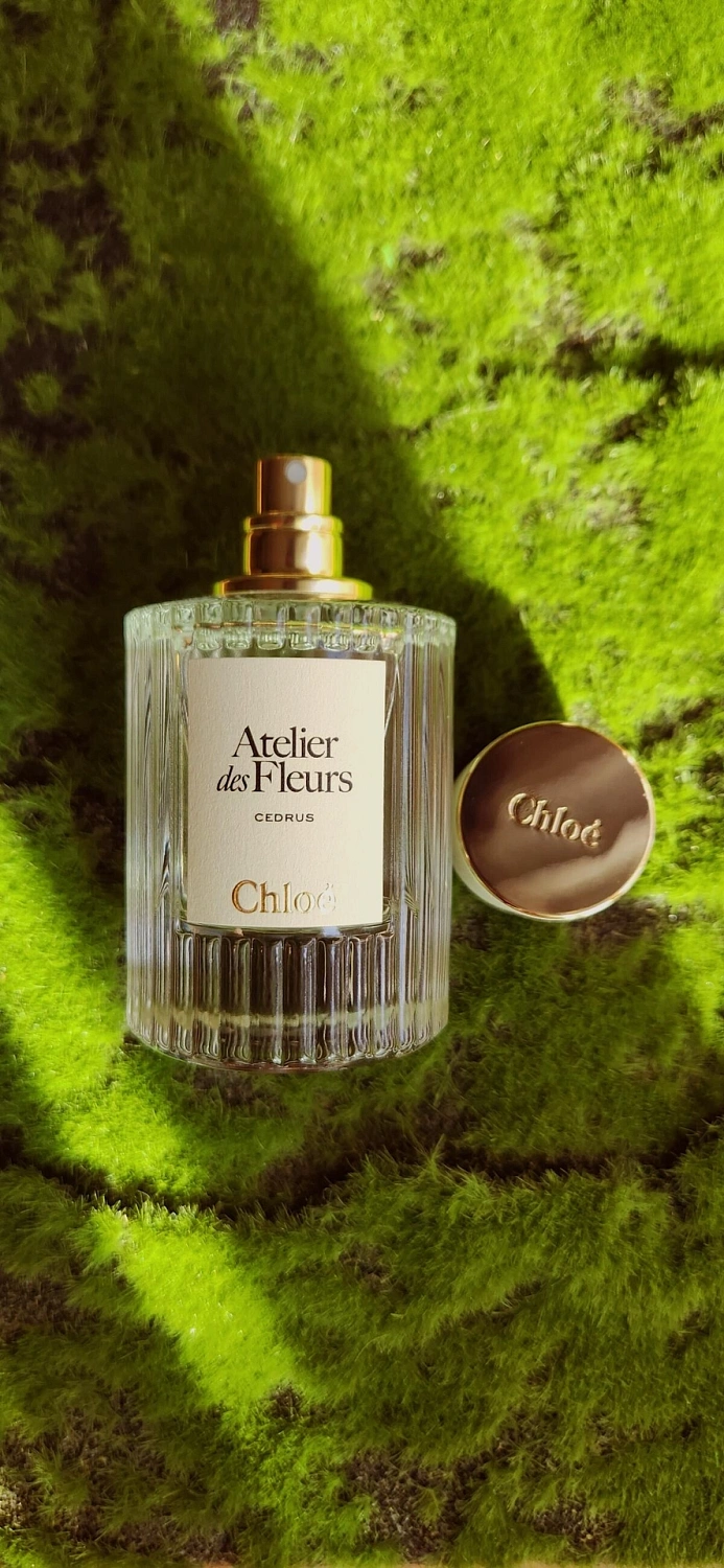 Chloé Atelier Des Fleurs Cedrus