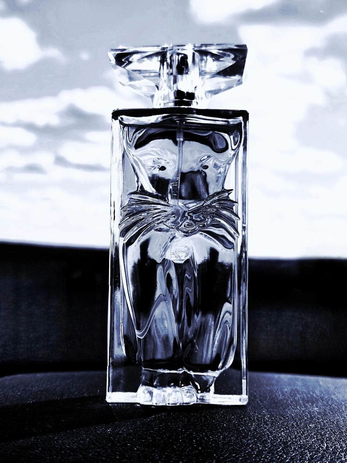 Salvador Dalí La Belle et l'Ocelot Eau de Toilette