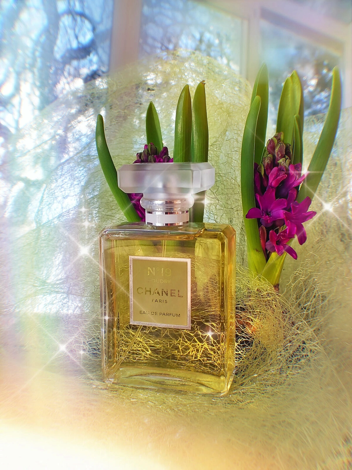 Chanel N°19 Poudre