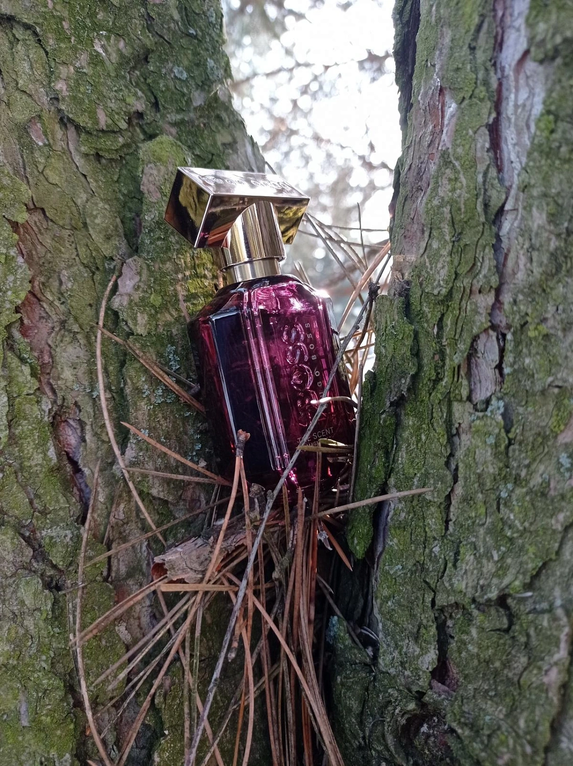 Hugo Boss The Scent For Her Magnetic
