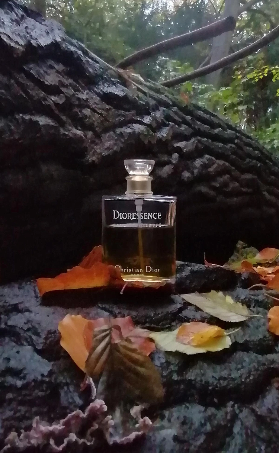 Christian Dior Dioressence