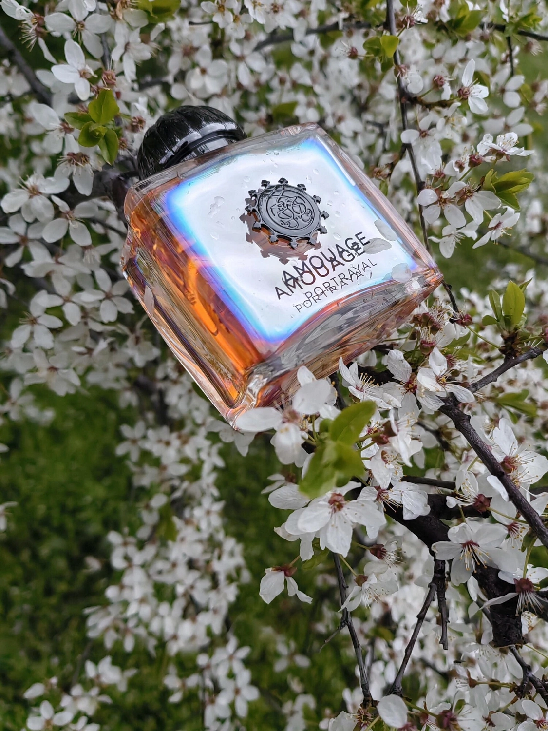 Amouage Portrayal Woman