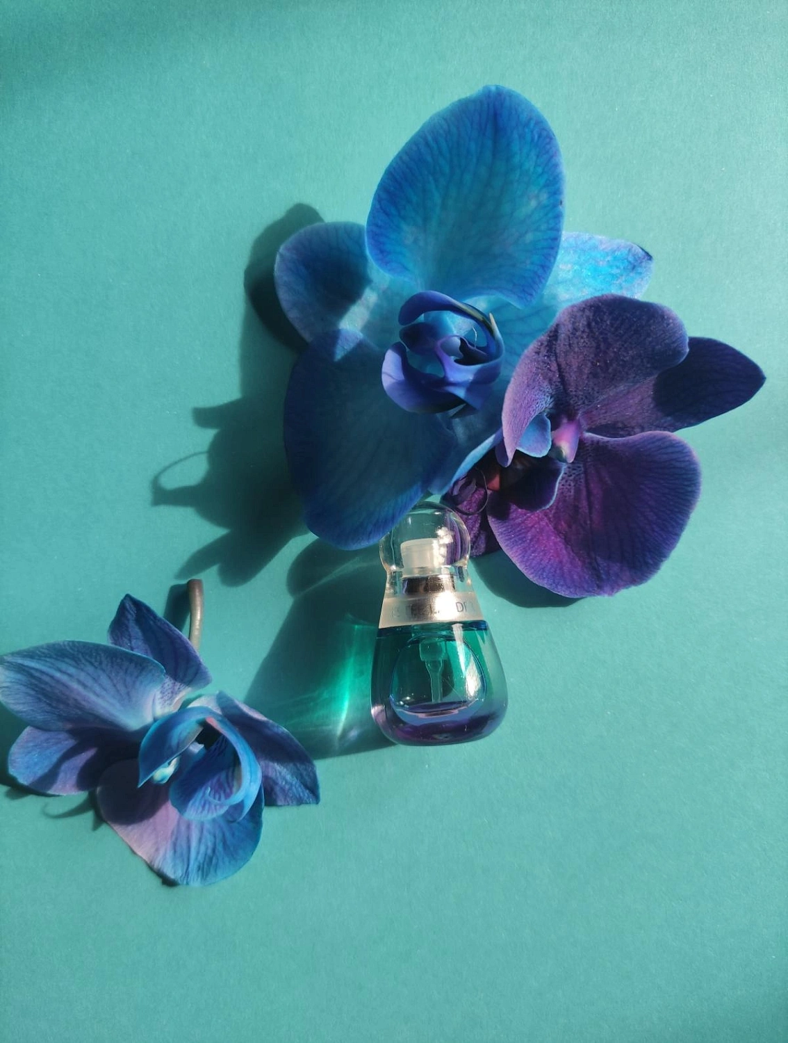 Estée Lauder Beyond Paradise