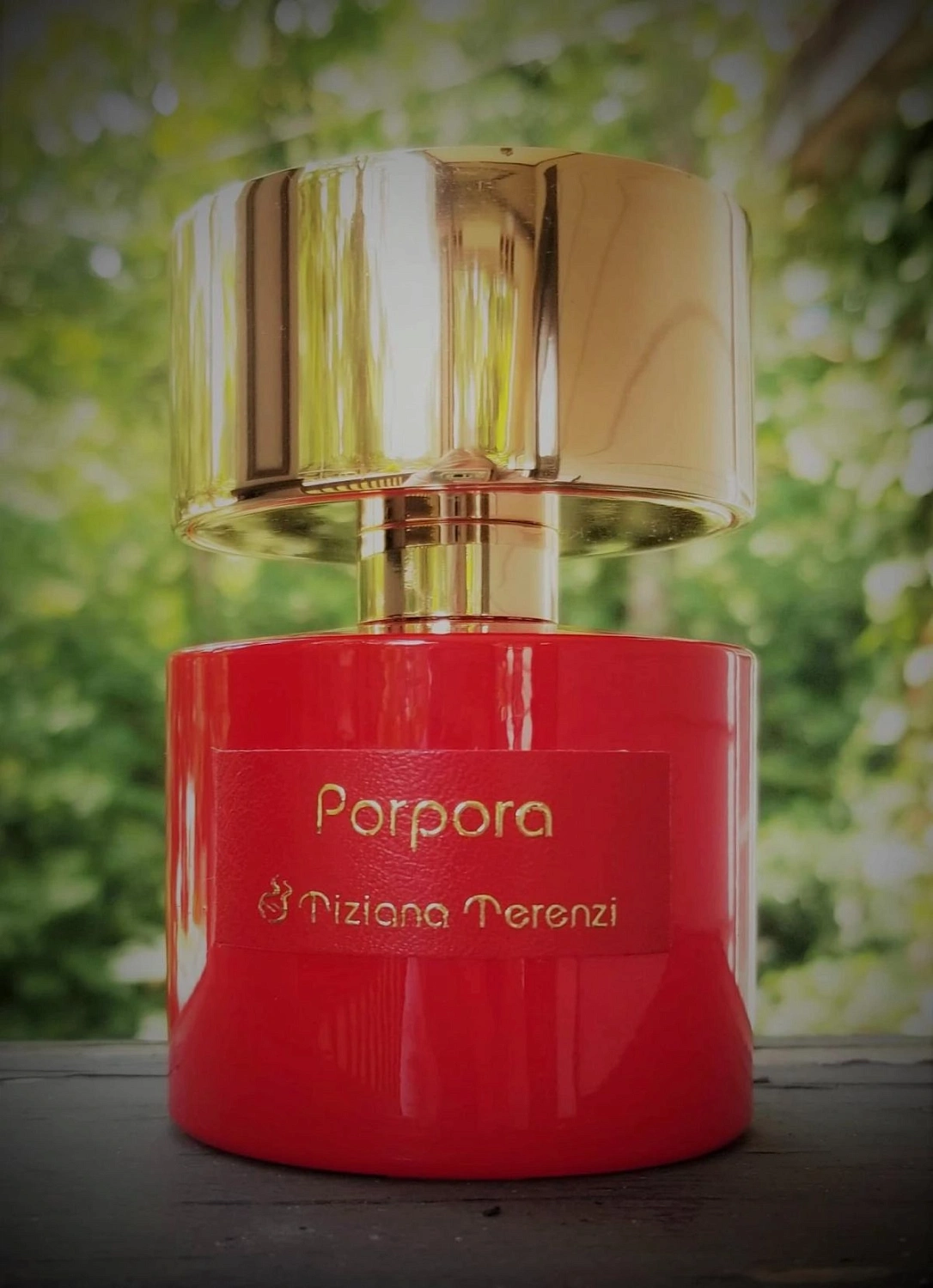 Tiziana Terenzi Porpora