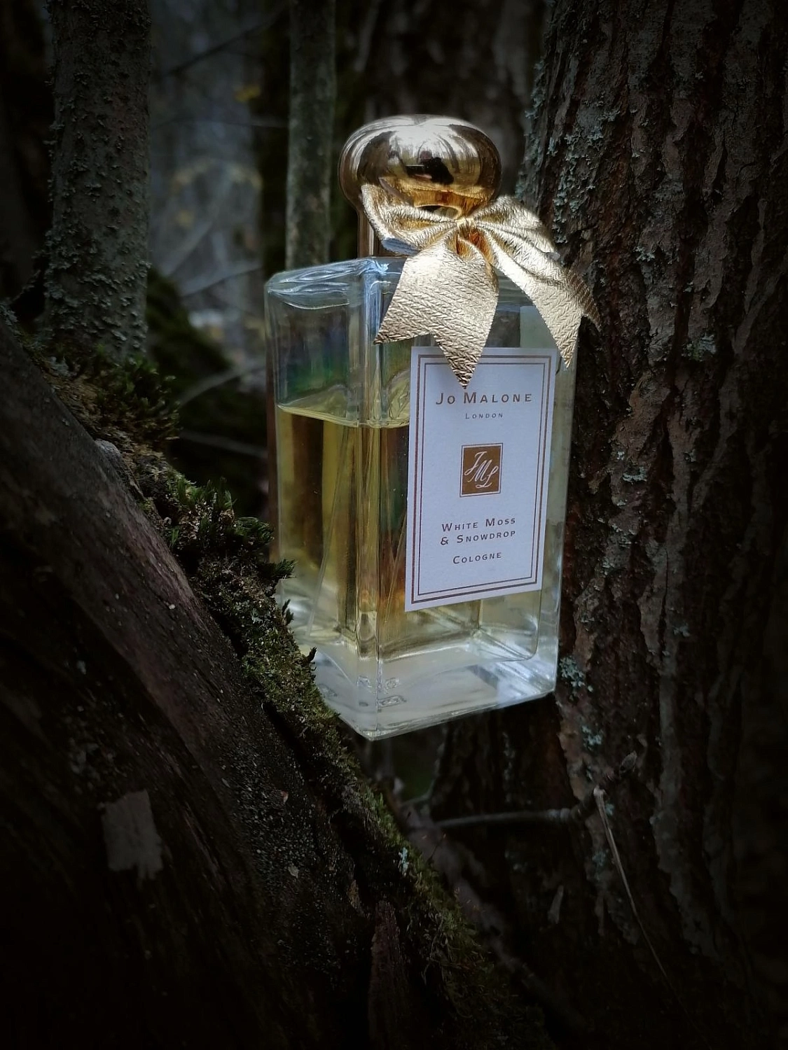 Jo Malone White Moss & Snowdrop