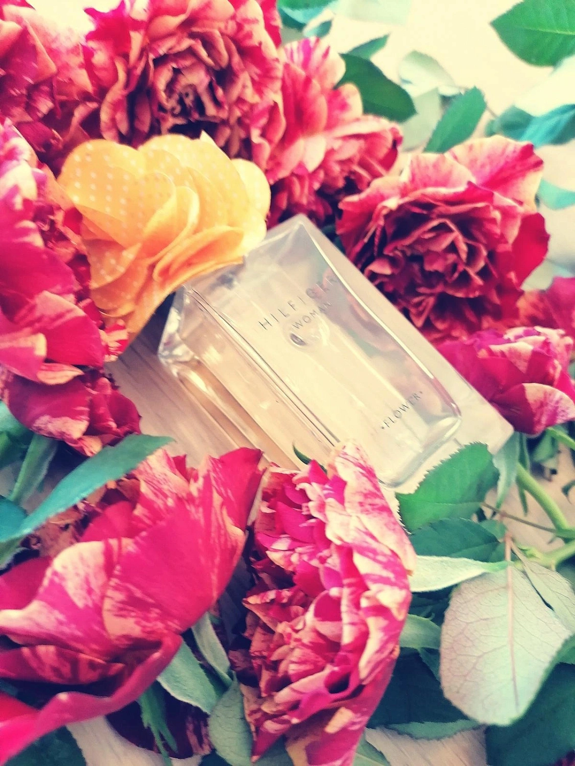 Tommy Hilfiger Flower Marigold
