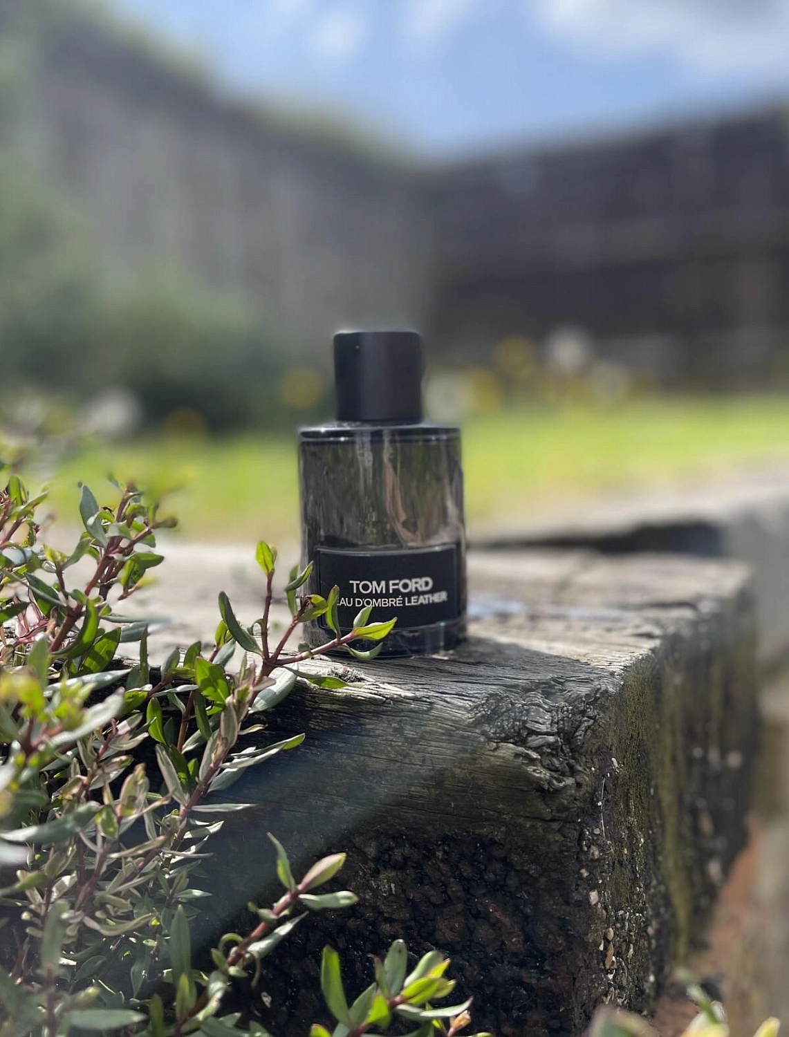 Tom Ford Eau d'Ombre Leather