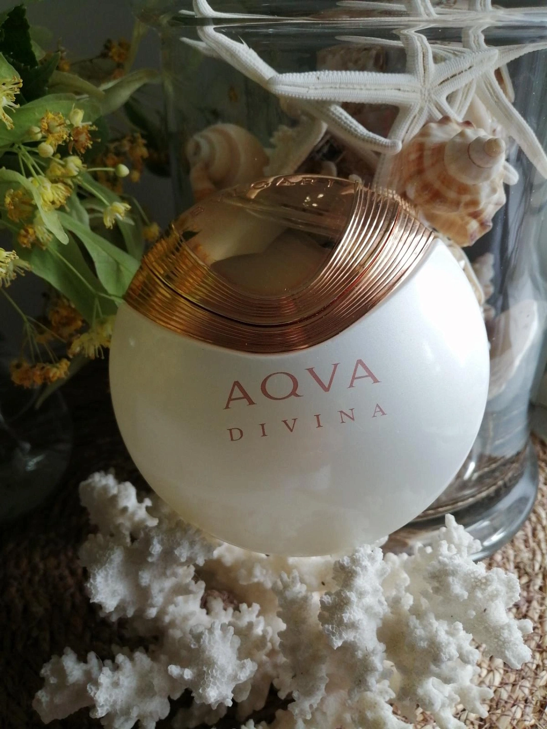 Bvlgari Aqva Divina