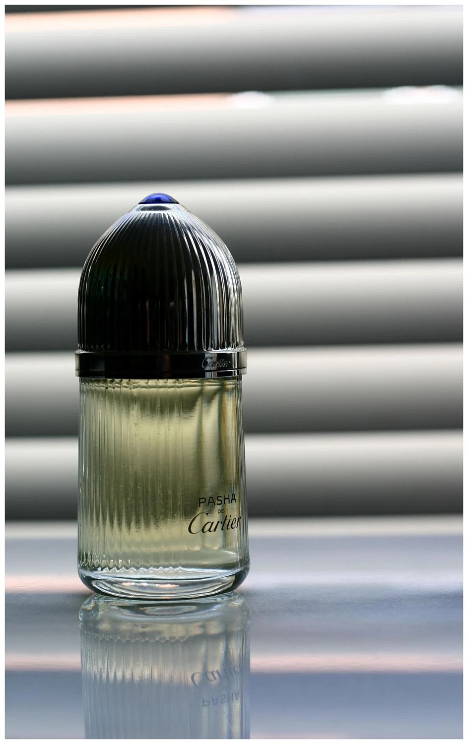 Cartier Pasha