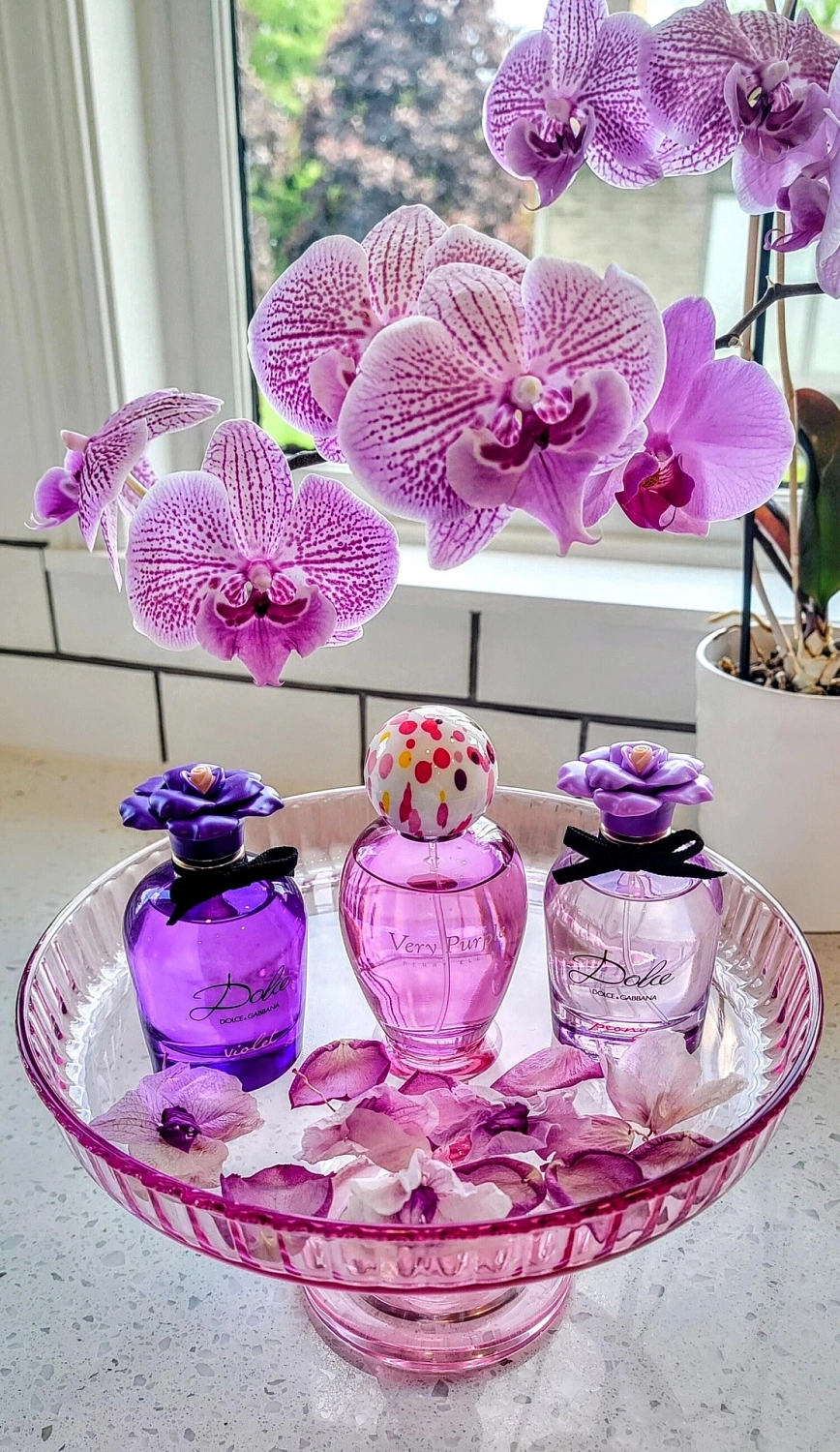 Dolce & Gabbana Dolce Violet