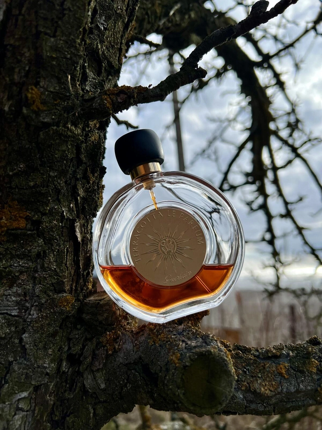 Guerlain Terracotta Le Parfum