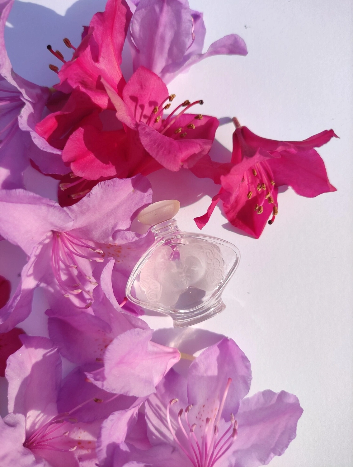 Lalique Tendre Kiss