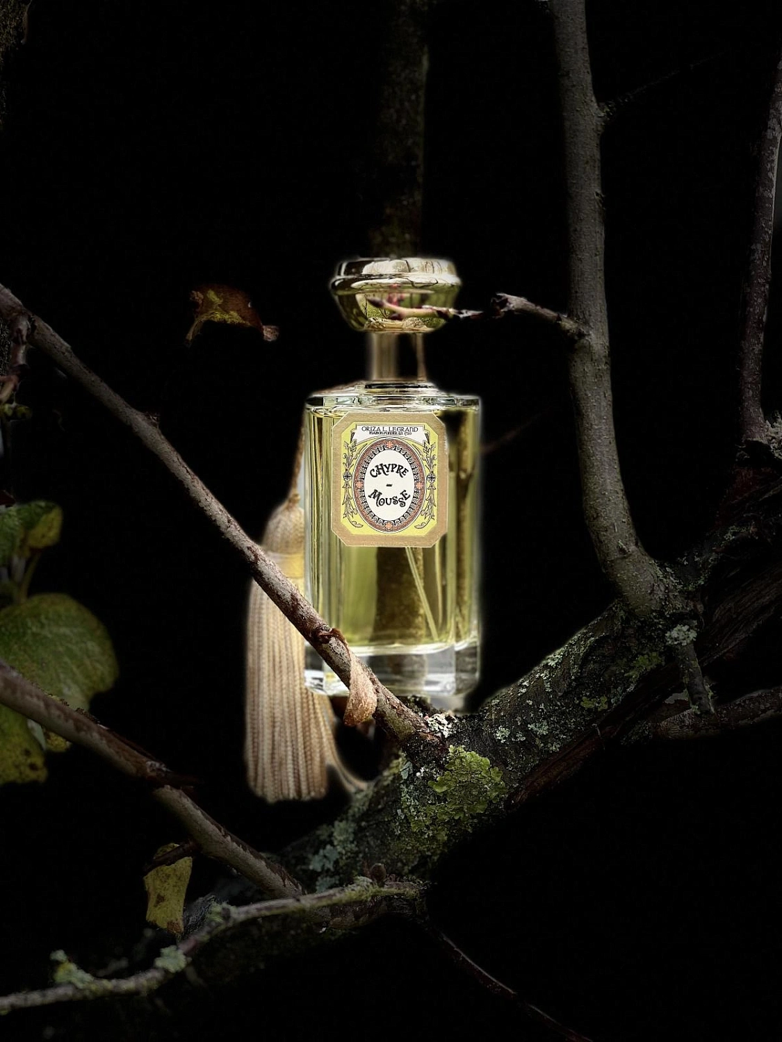 Oriza L. Legrand Chypre Mousse
