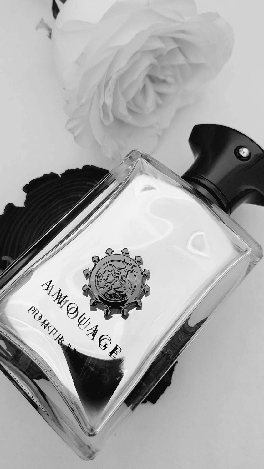 Amouage Portrayal Man