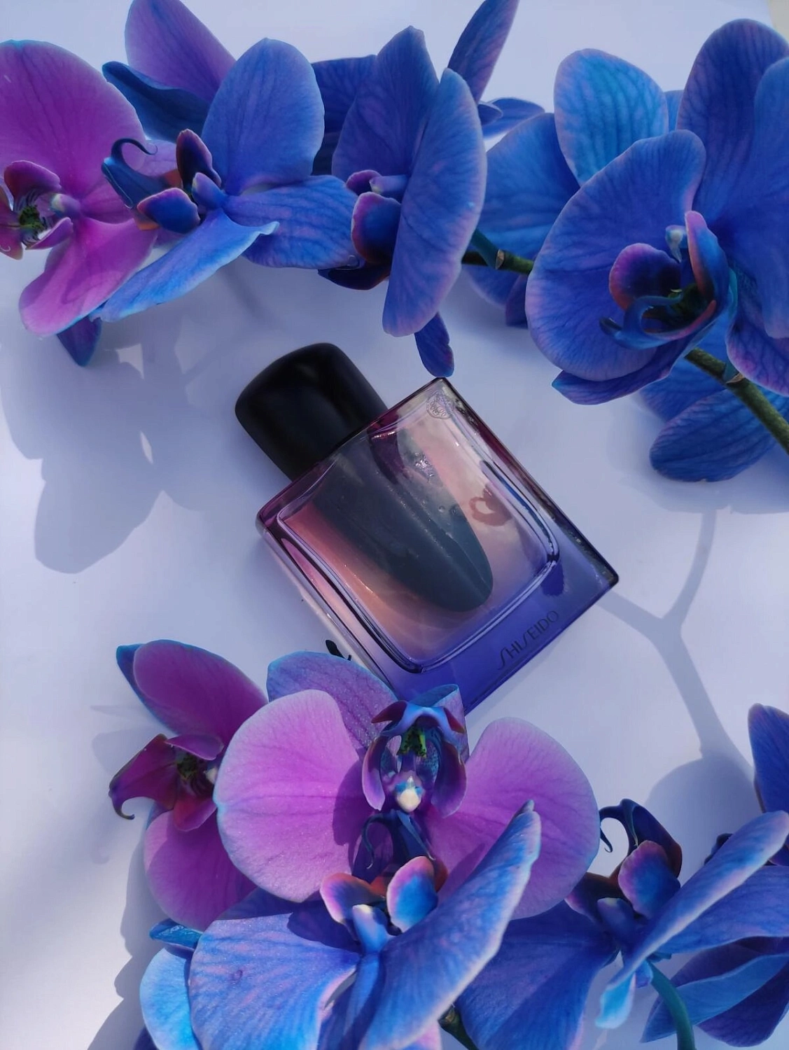 Shiseido Ginza Night