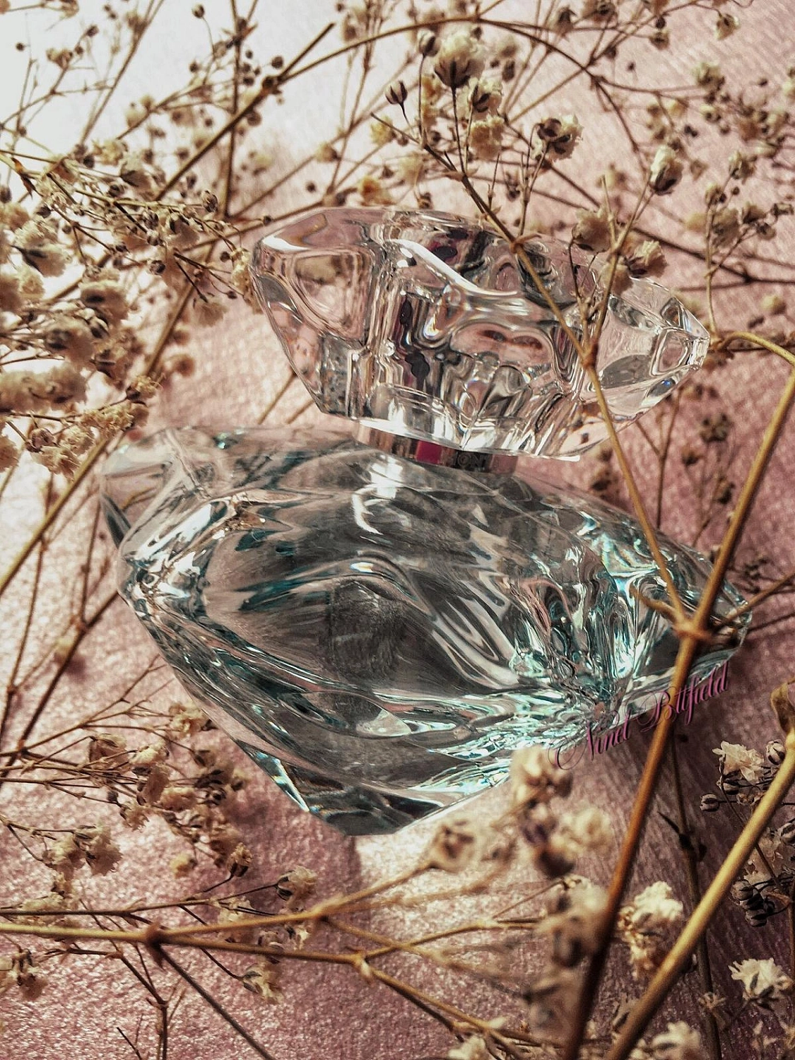 Montblanc Lady Emblem L'Eau