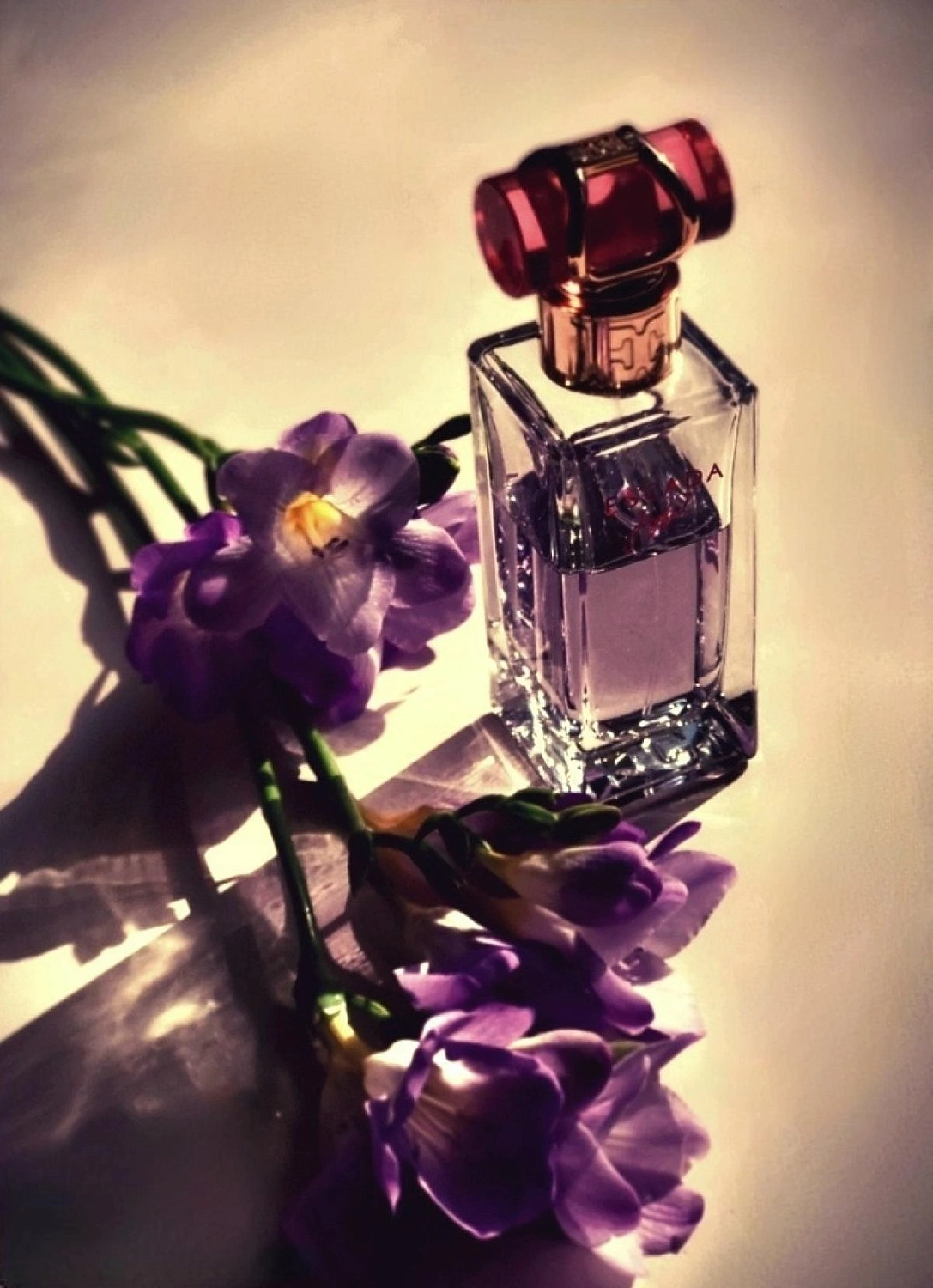 Escada Joyful