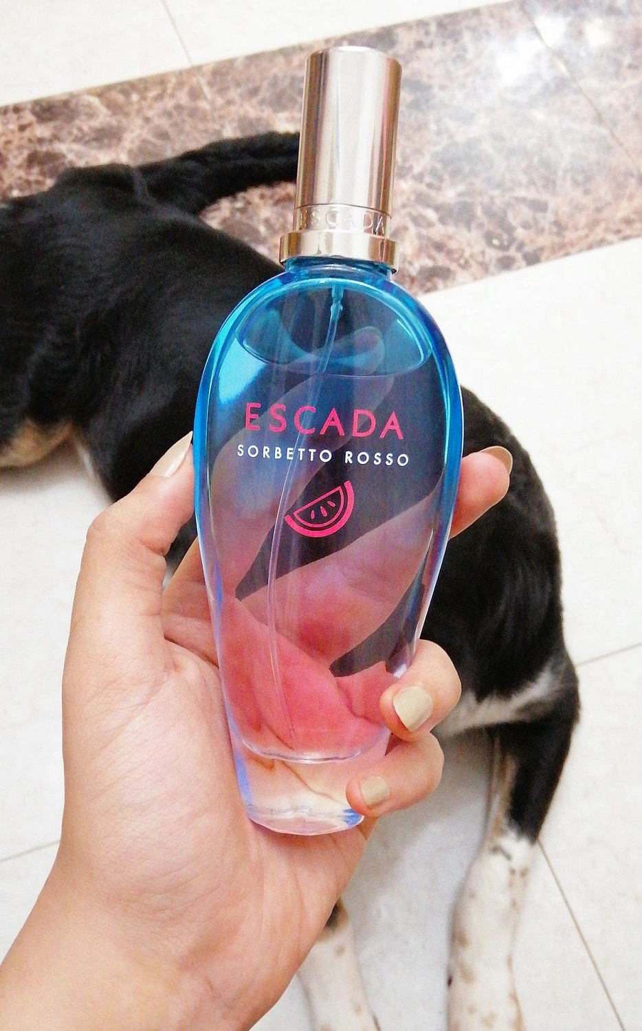 Escada Sorbetto Rosso