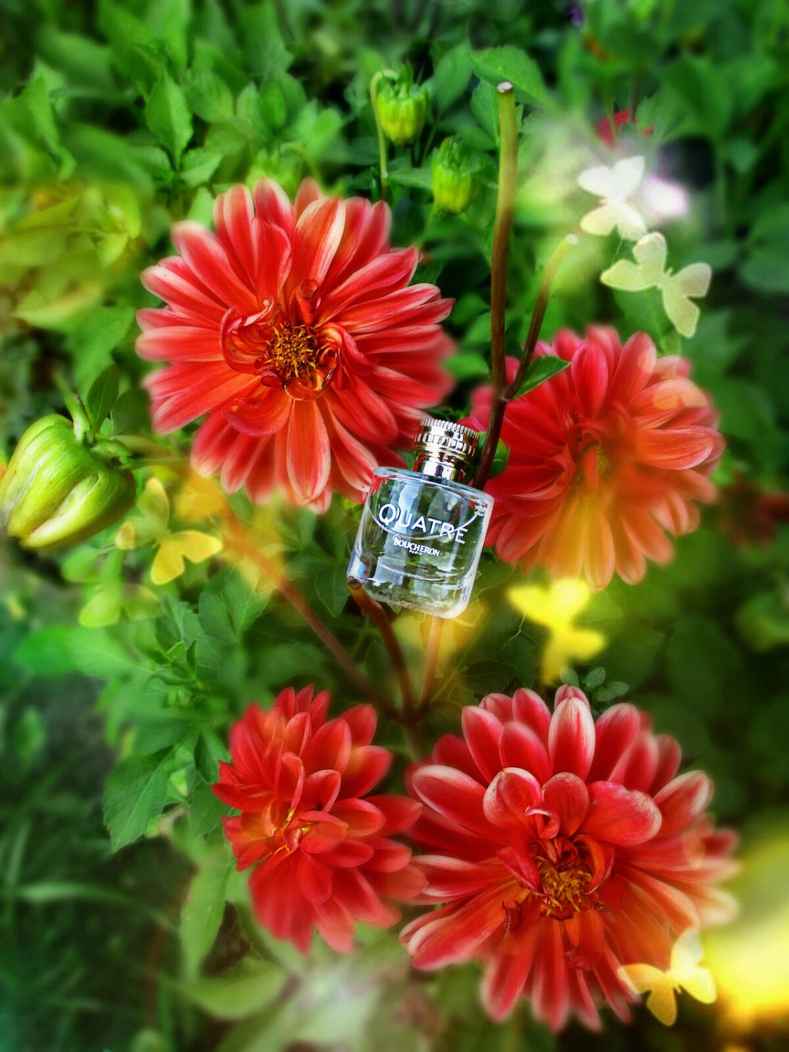 Boucheron Quatre