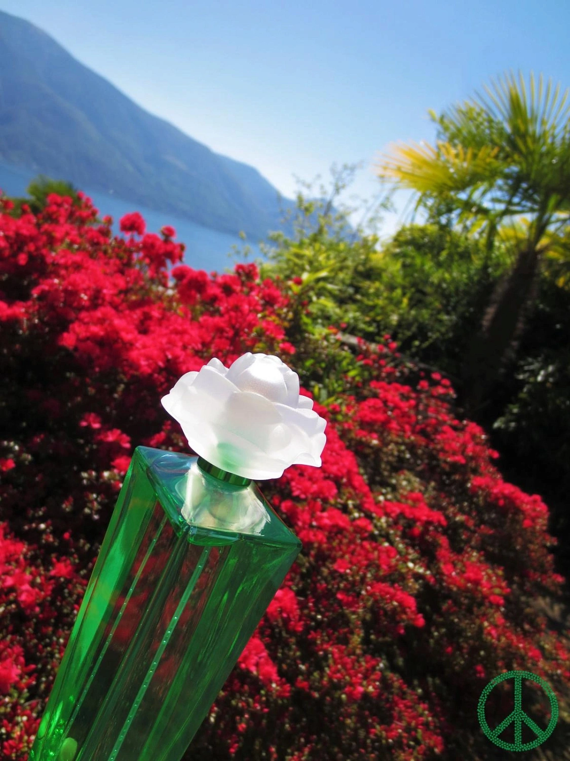 Elizabeth Taylor Gardenia