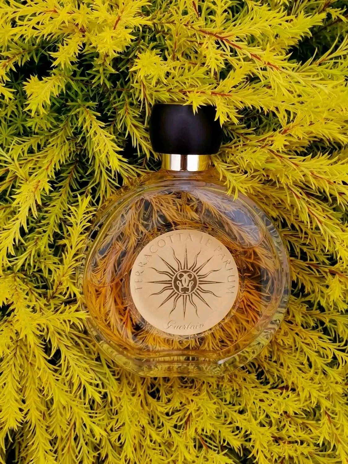 Guerlain Terracotta Le Parfum