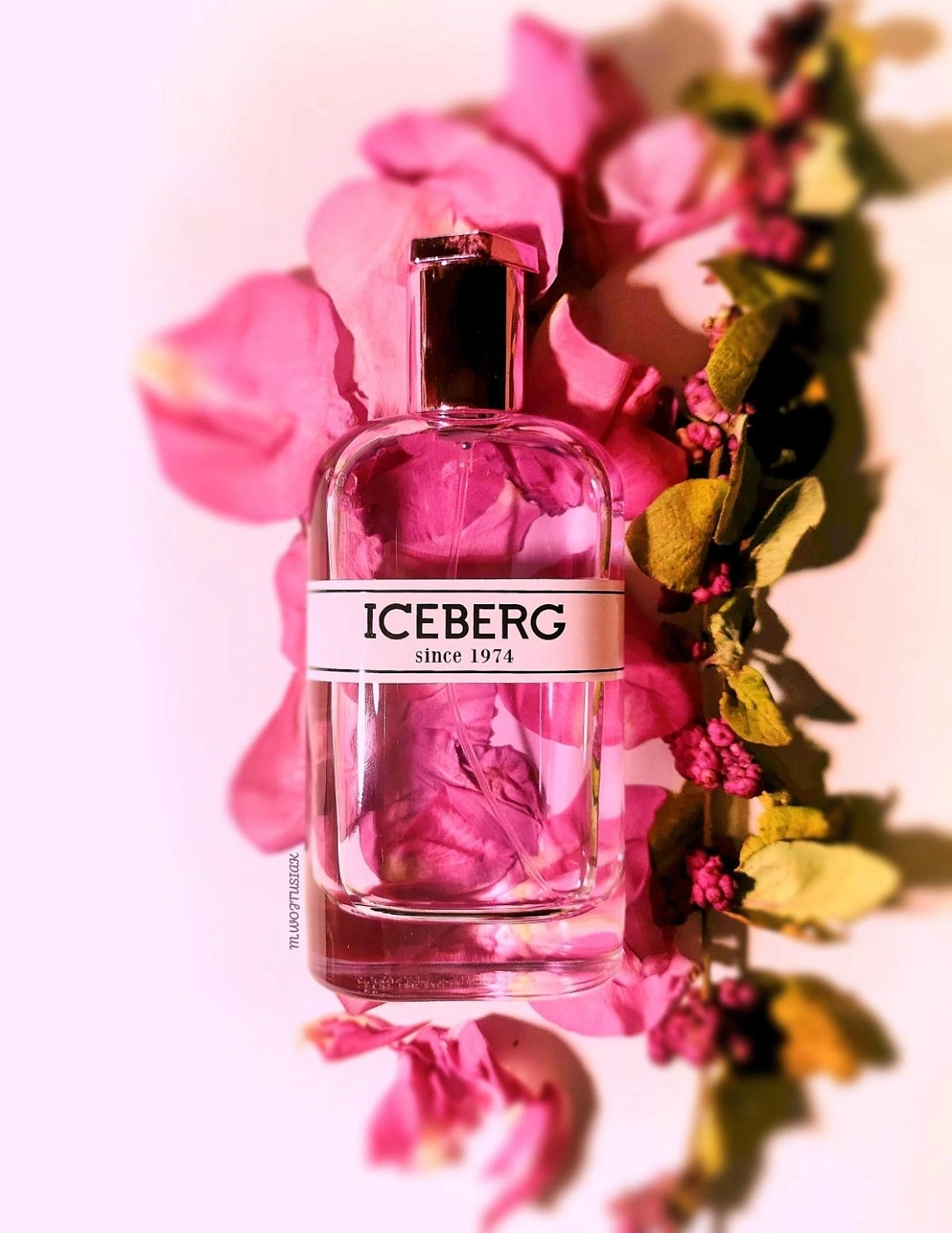 Iceberg Since 1974 for Her