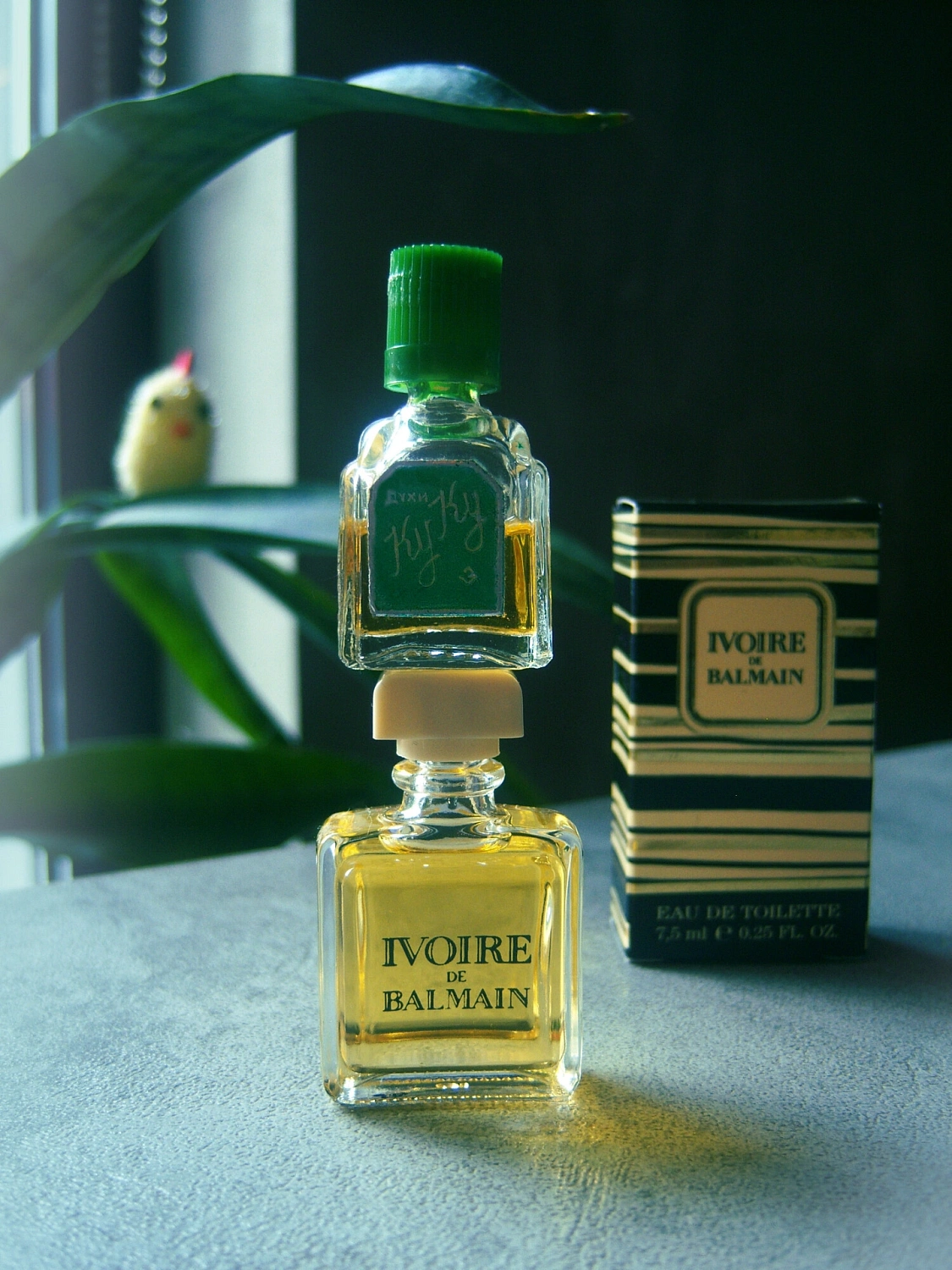Ivoire de Balmain