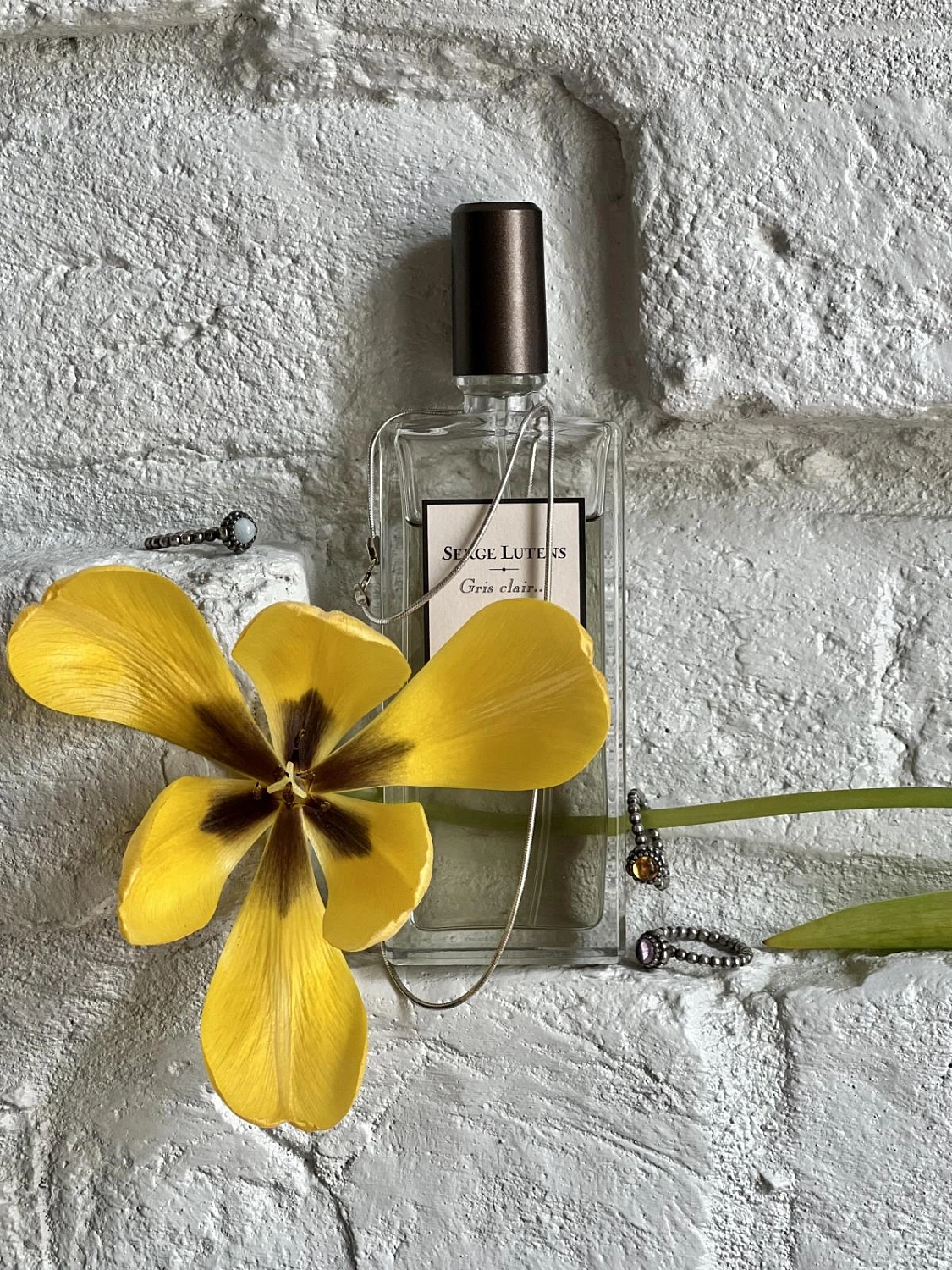 Serge Lutens Gris Clair